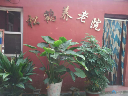 1649669165093031141.png 1616747378532013910.png