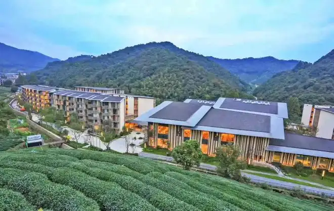 1651458323681037654.jpg dj00rak2tp003rd200u000iyg00it00bv.jpg