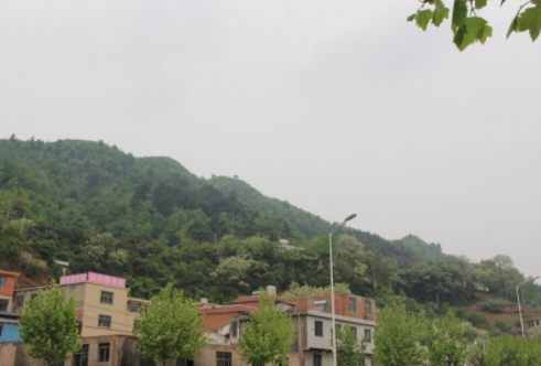 1651574148524008179.png 1615269191776010039.png