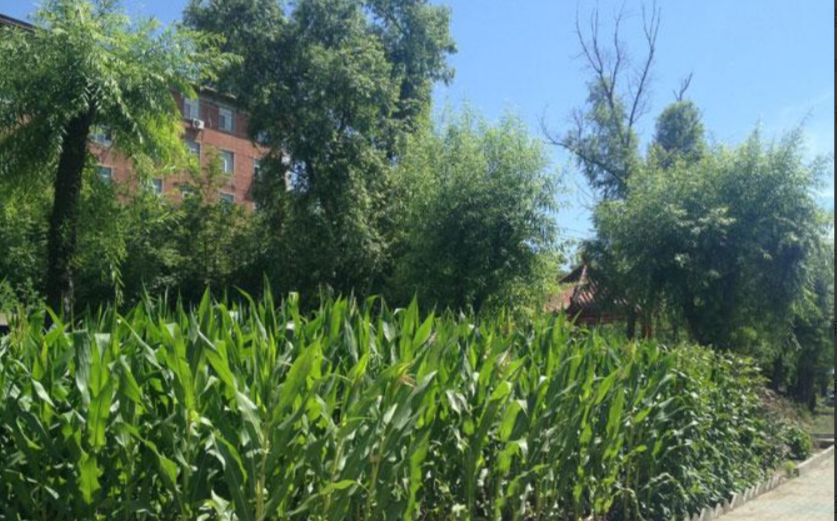 1654690951266046280.png QQ截圖20220608202216.png