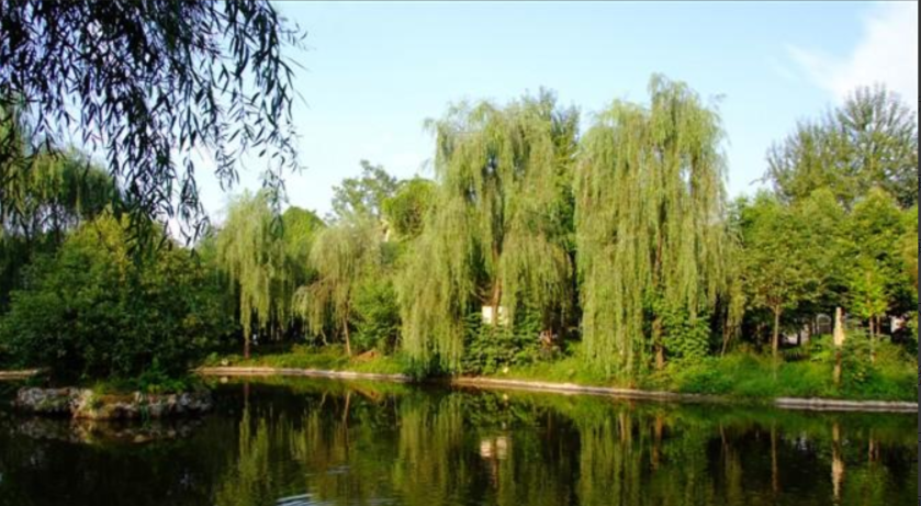 1654917132648046086.png QQ截圖20220611111200.png