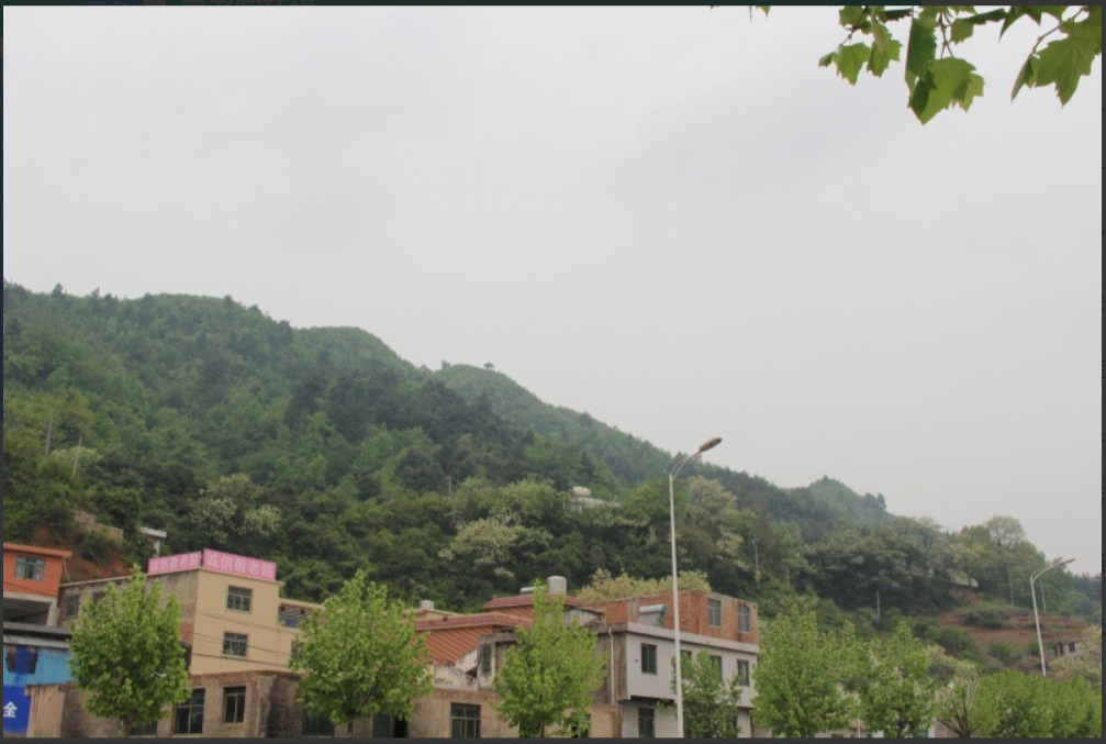 1654917496818096947.png 貴陽.png