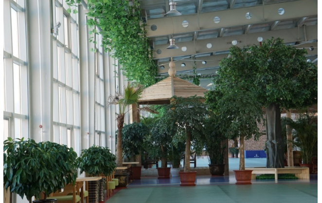 1656401917981093302.png 黑龍江.png