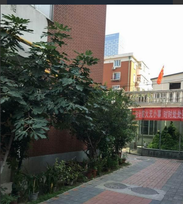 1656403117979034025.png 天津.png