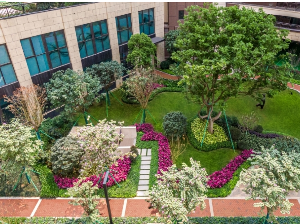 1656662320607017949.png 廣西5.png