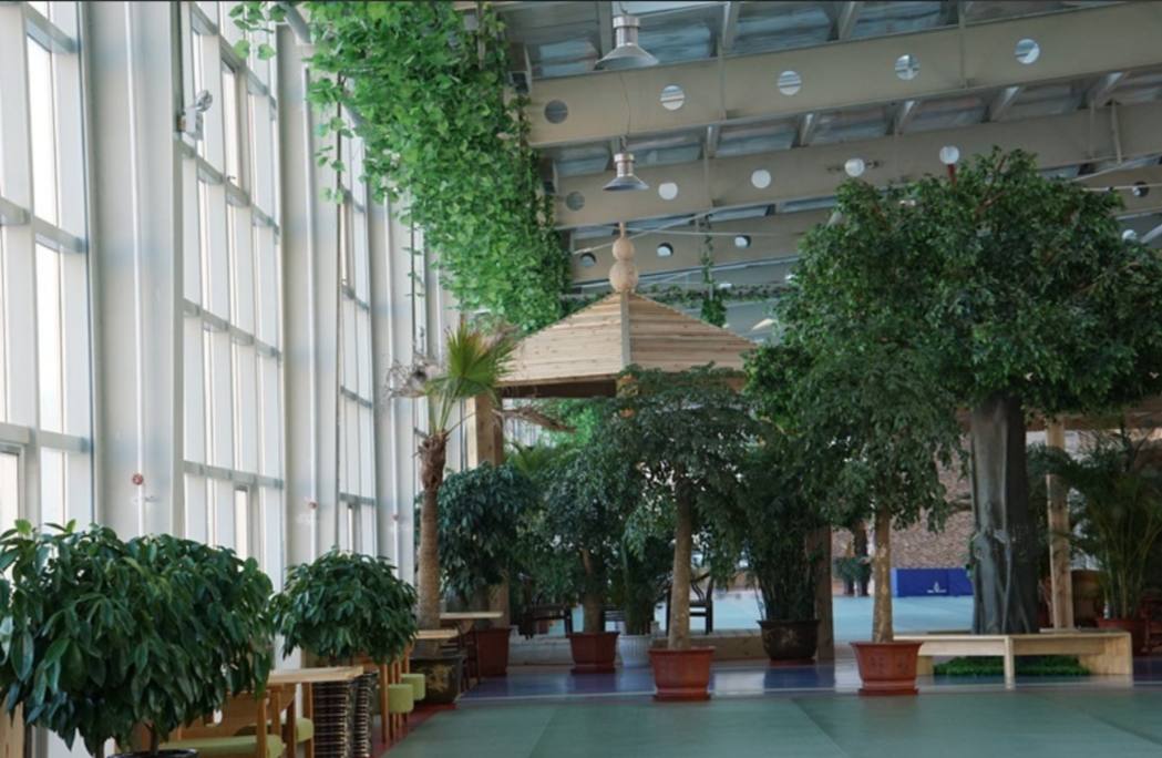 1658157351452092112.png 黑龍江1.png