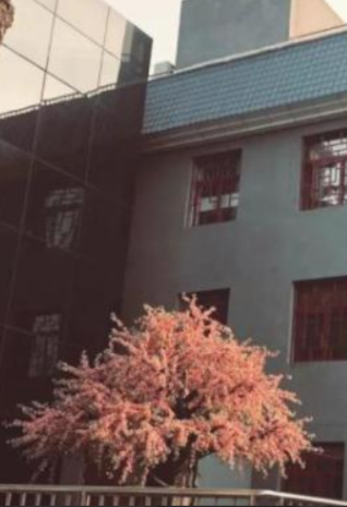 1658741832848072060.png 北京2.png