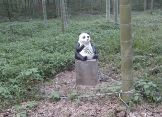 1660998662897047120.png 1660998662897047120.png