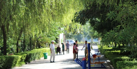 1662647104046076243.png 1662647104046076243.png