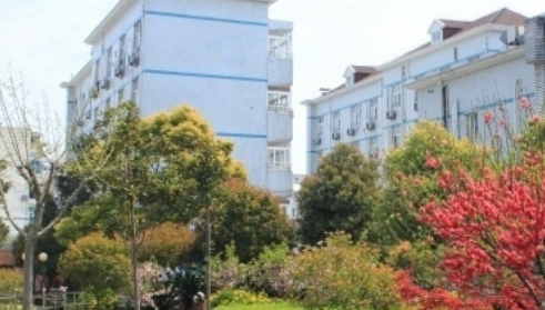 1665928353029048434.png 1665928353029048434.png