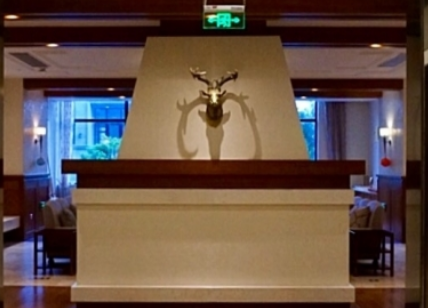 1668324688115063401.png 1668324688115063401.png