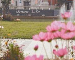 1676793584609094218.png 1676793584609094218.png