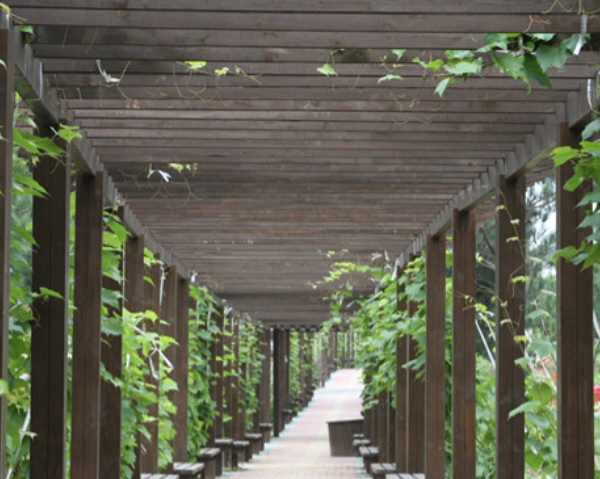 1678530688920008163.png 1678530688920008163.png