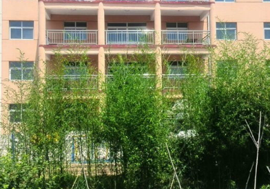 1685199745593028880.png 1685199745593028880.png