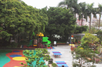 1685370795178062676.png 1685370795178062676.png