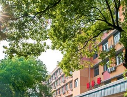 1691226806794030357.png 1691226806794030357.png