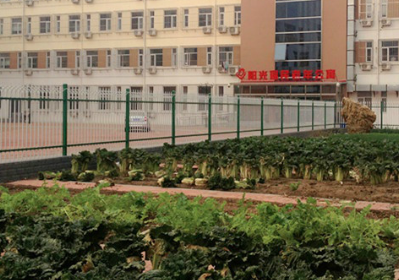 1699271835987052171.png 1699271835987052171.png