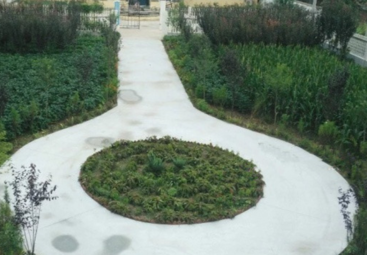 1701348010443053077.png 1701348010443053077.png